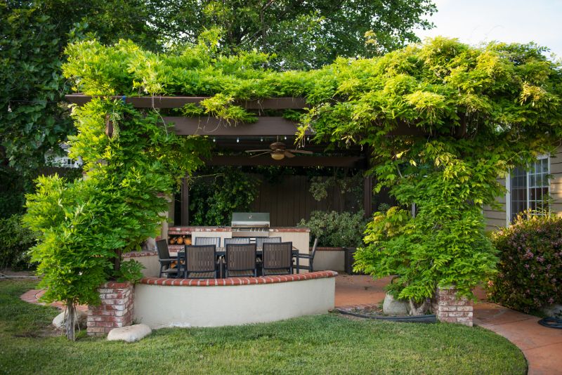 pergola with plants growing through the roof